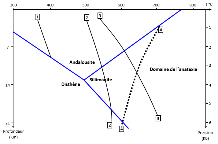 DiagPT