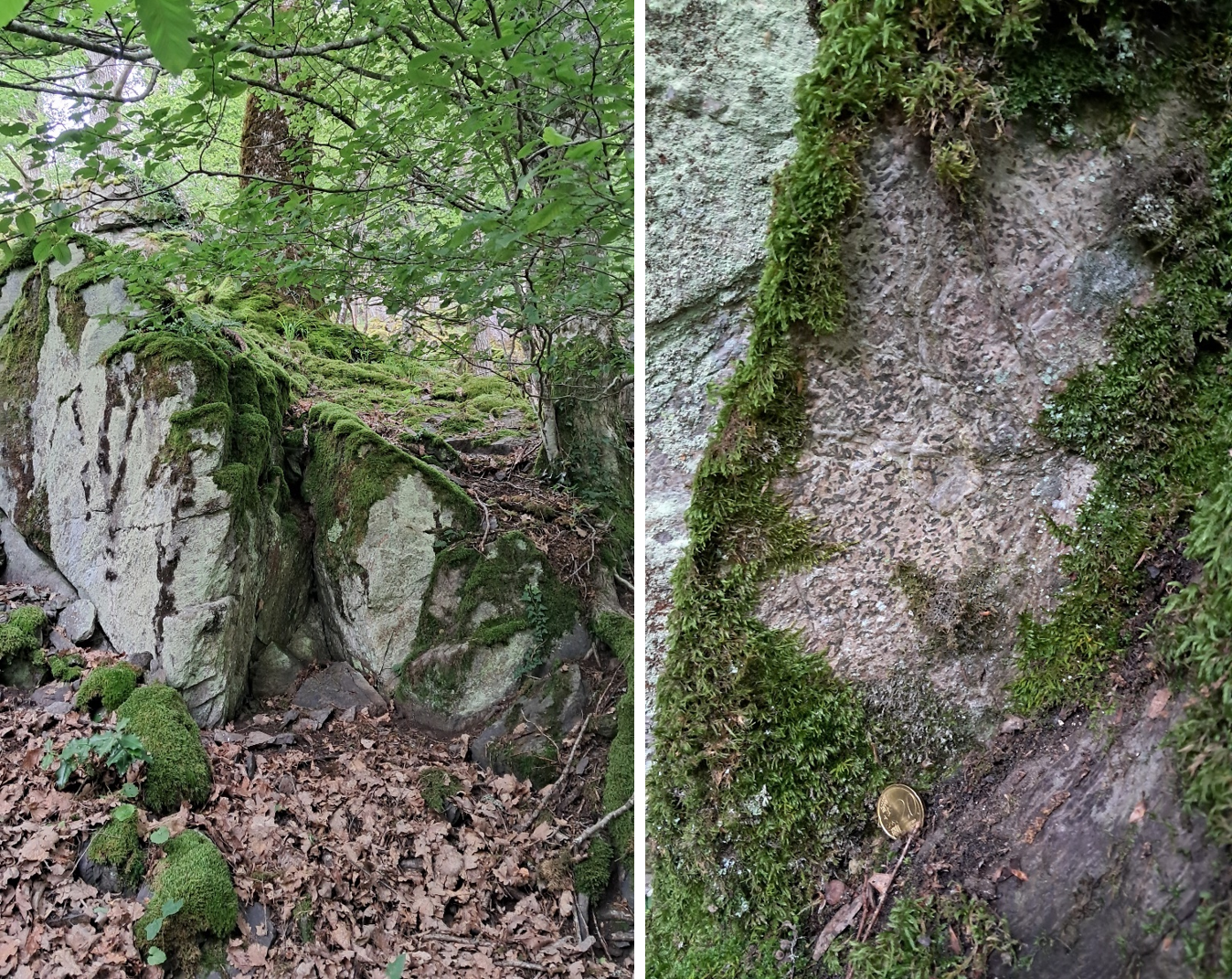 bloc de schiste tachete