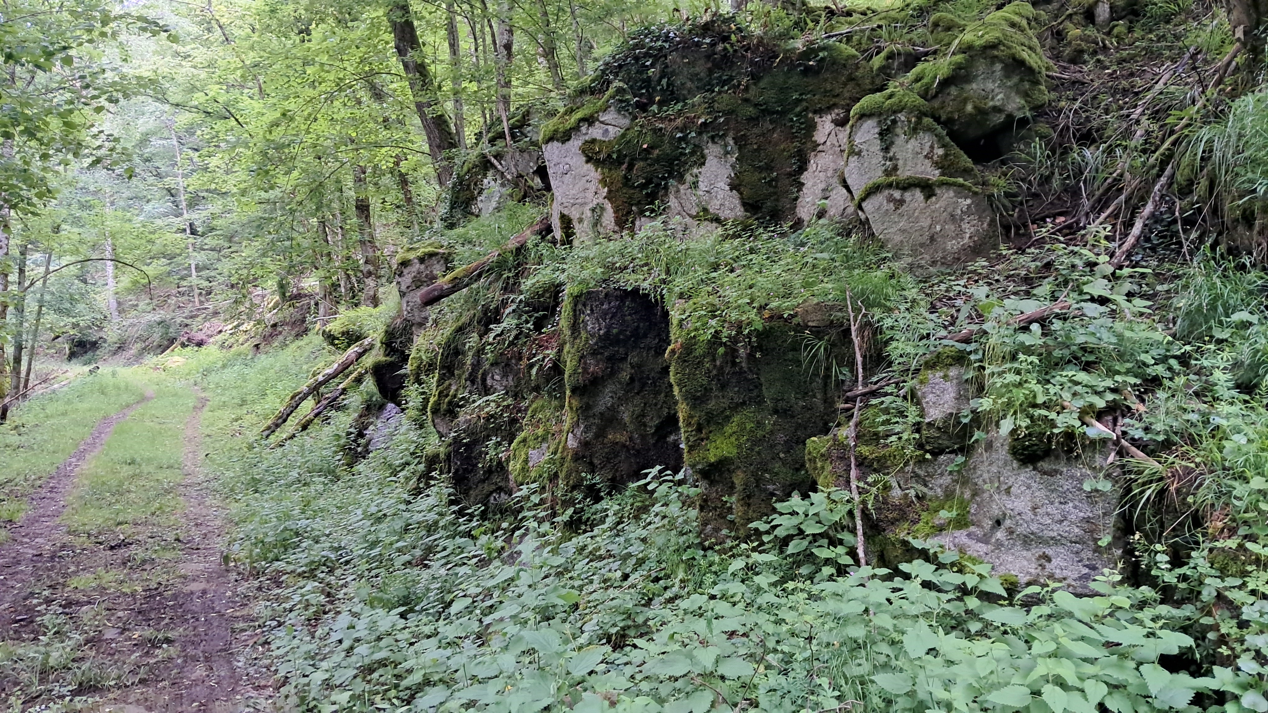 bloc granodiorite
