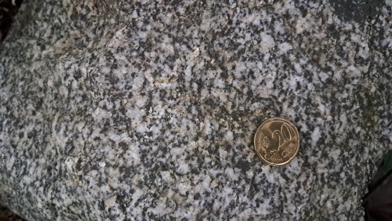 granodiorite